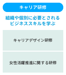 キャリア研修:組織や個別に必要とされるビジネススキルを学ぶ